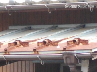 カラートタン瓦棒屋根調査