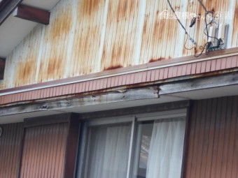 庇調査