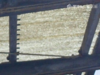 塩ビ波板調査