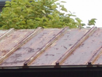 カラートタン瓦棒屋根調査
