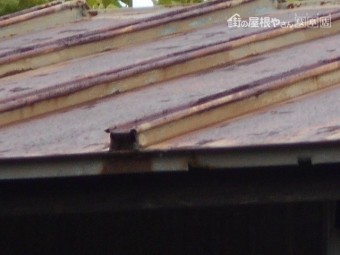 カラートタン瓦棒屋根調査