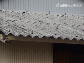 小波スレート調査