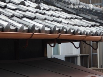 樋調査