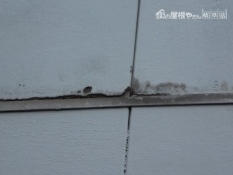 外壁調査