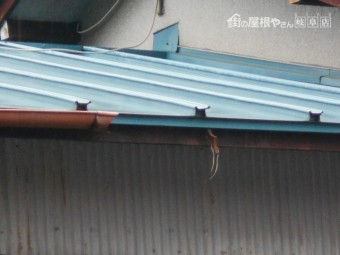 樋調査