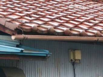 樋調査