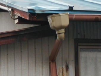 樋調査