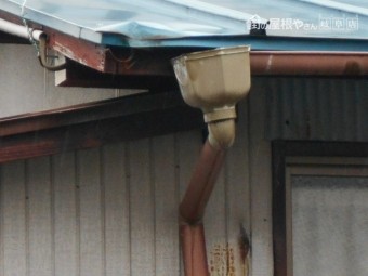 樋調査