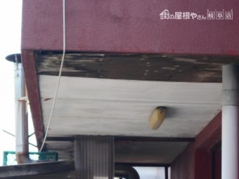 軒天調査