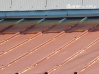 カラー鋼板瓦棒屋根調査