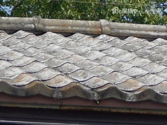 U瓦調査