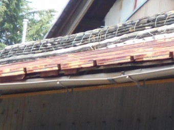 カラトタン瓦棒屋根調査