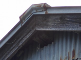 トタン屋根現場調査