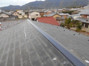 棟板金調査