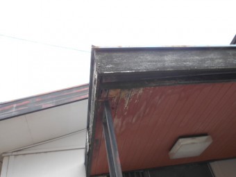 建物調査