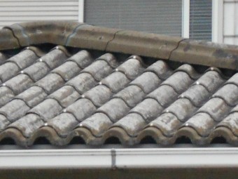 モニエル屋根調査