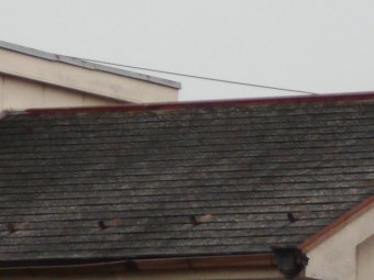 カラーベスト屋根調査