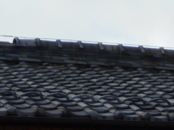 屋根調査