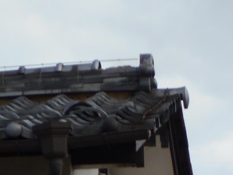 屋根調査
