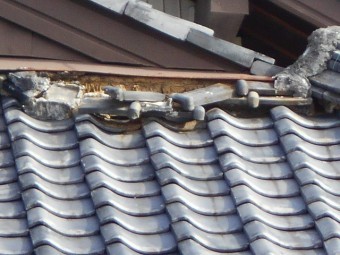 屋根調査