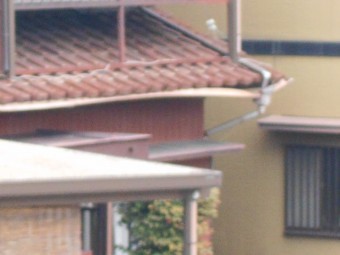 樋調査