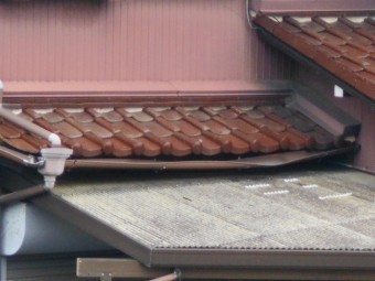 樋調査