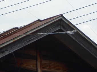 カラートタン瓦棒屋根調査