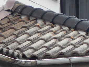 モニエル屋根調査
