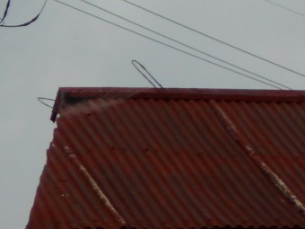 波トタン屋根調査