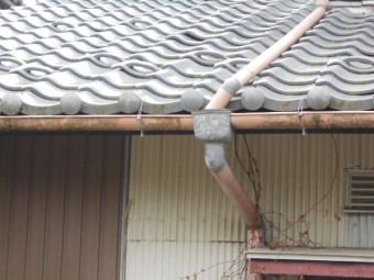 樋調査
