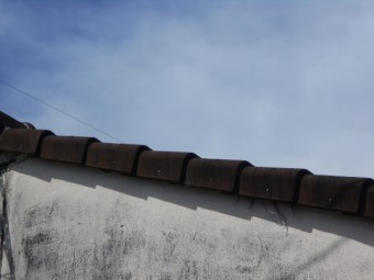 モニエル瓦現場調査