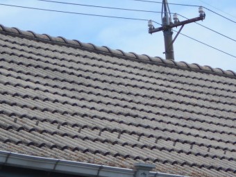 モニエル屋根調査