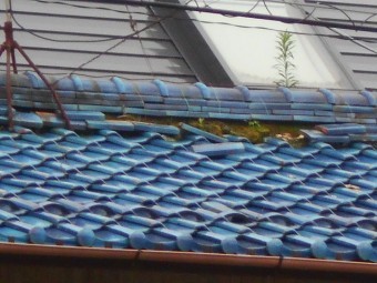 屋根調査