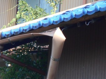 樋調査