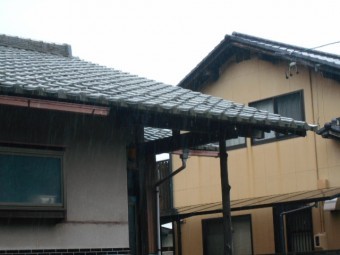 樋調査
