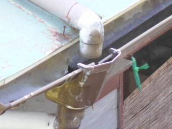 カラートタン瓦棒屋根調査