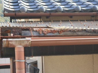 塩ビ波板調査