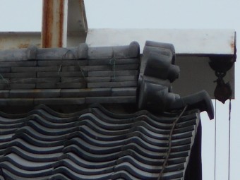 屋根調査