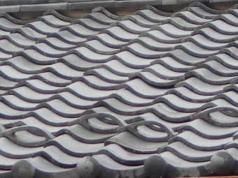 屋根調査