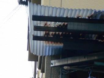 塩ビ波板屋根調査