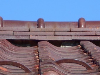 屋根調査