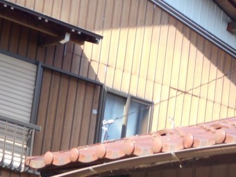 屋根調査