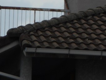 モニエル瓦屋根現場調査