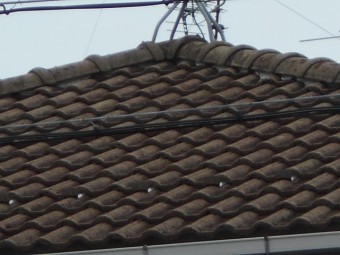 モニエル瓦屋根現場調査