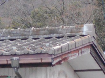 U瓦調査