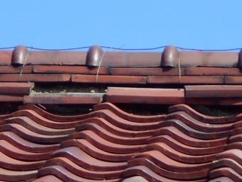 屋根調査