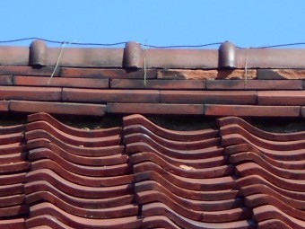 屋根調査