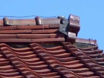 屋根調査