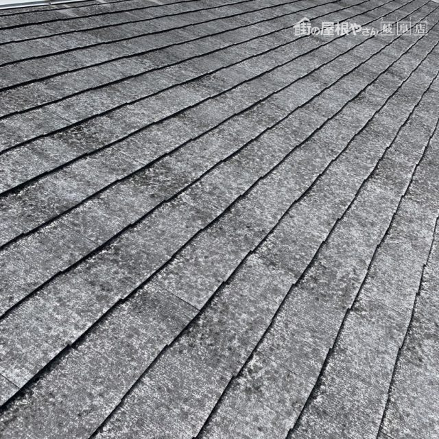 屋根塗装