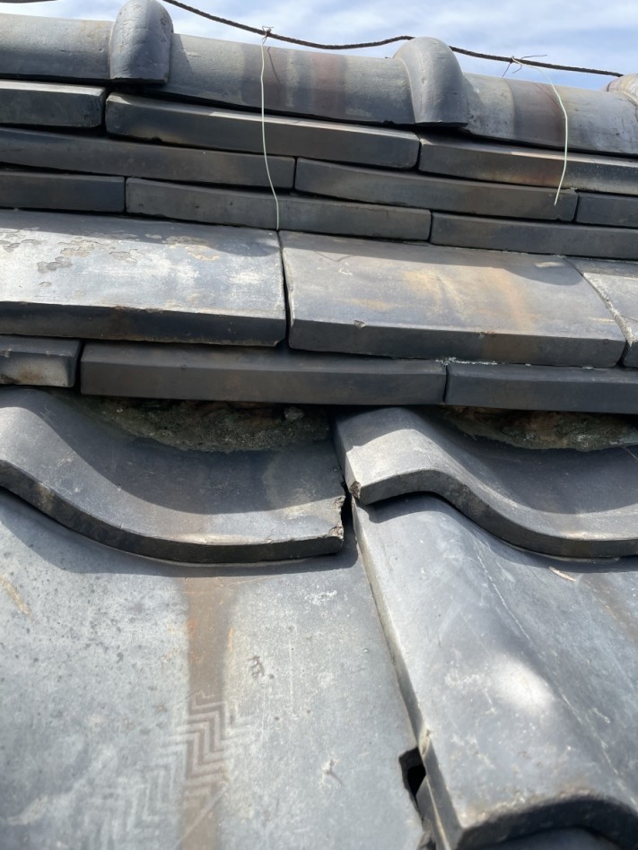 IMG_1846-columns1